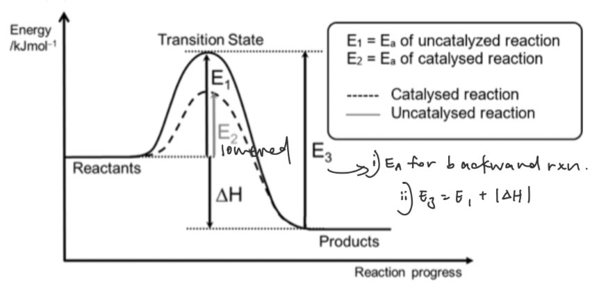 <p>Usually solid catalyst and gaseous reactants</p><p>Brings ALL reactant particles closer to each other and weakens all bonds, hence providing alternative pathway of lower activation energy</p><p>One step reaction</p>