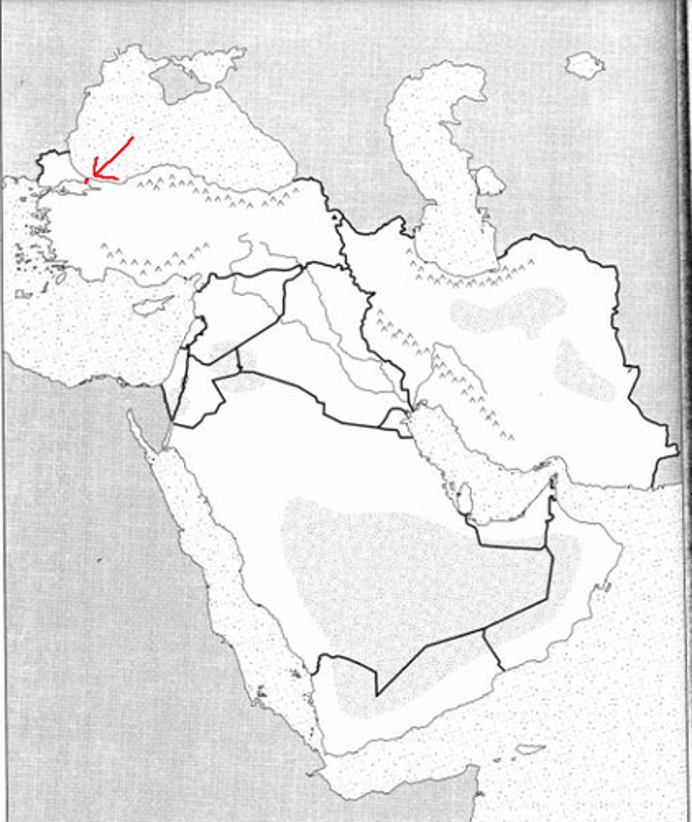 knowt flashcard image