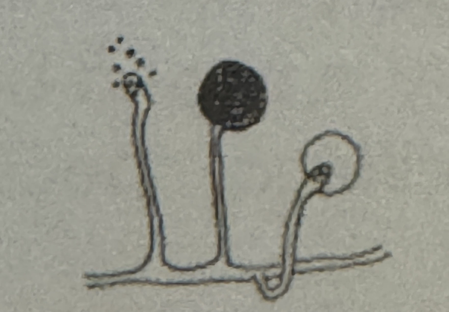 <p><span>what is illustrated</span></p>