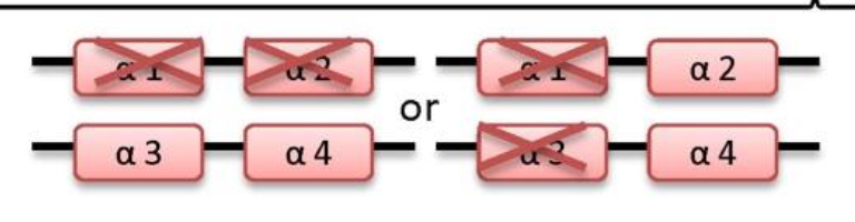 <p>Alpha-thalassemia trait</p><p></p><p>-/α -/α</p><p class="p1">-/- α/α</p>