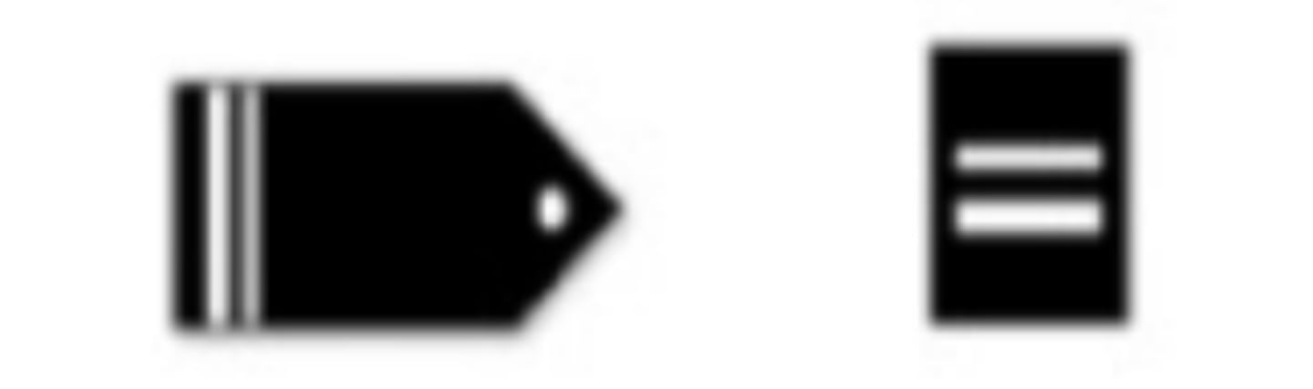 <p>What is this Cadet Rank?</p>