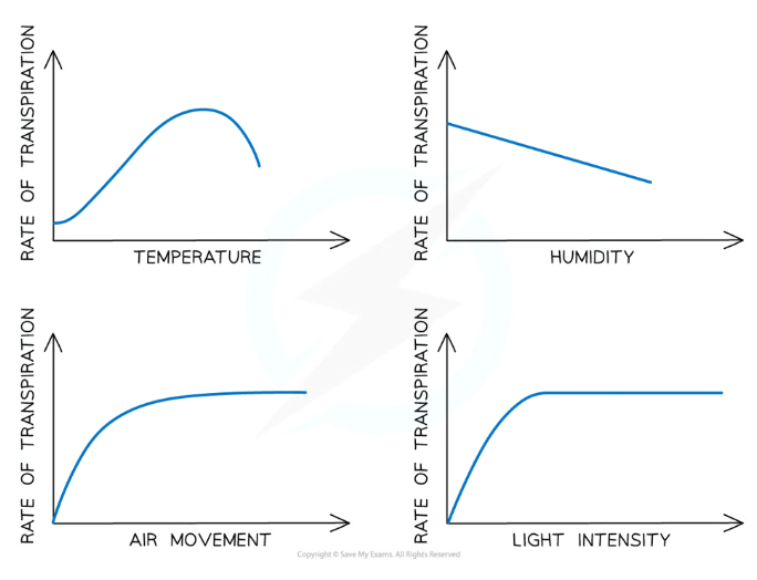 <p><strong>Air movement-</strong> wind moves water vapour away from the leaf when it evaporates, which maintains a steep concentration gradient to increase the rate of diffusion and transpiration</p><p><strong>Temperature- </strong>higher temperatures gives particles more kinetic energy, so they move faster and increase the rate of diffusion and transpiration</p><p><strong>Light intensity-</strong> in the light, photosynthesis increases, so more stomata open, increasing the rate of diffusion and transpiration</p><p><strong>Humidity- </strong>high humidity decreases the concentration gradient as there are more water molecules in the air, which decreases the rate of <strong>diffusion </strong>and transpiration</p>