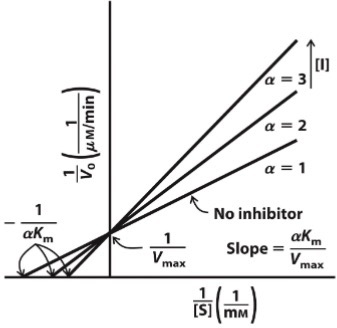 <p>Reversible; aK<sub>m</sub> = apparent K<sub>m</sub>; more inhibitor = less enzyme activity; Uses substrate site; Higher slope = Stronger inhibition</p>
