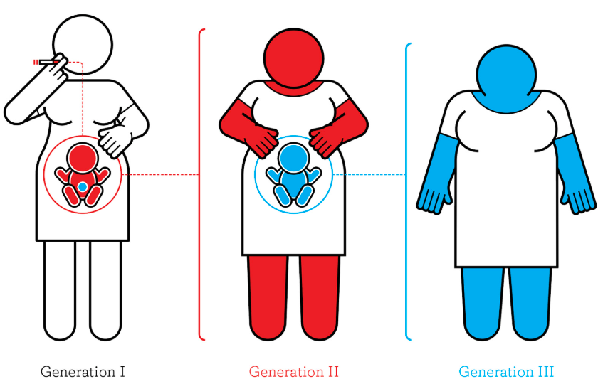 <ul><li><p>“above” or “in addition to” genetics</p></li><li><p>the study of environmental influences on gene expression that occur without a DNA change</p></li></ul><p></p>