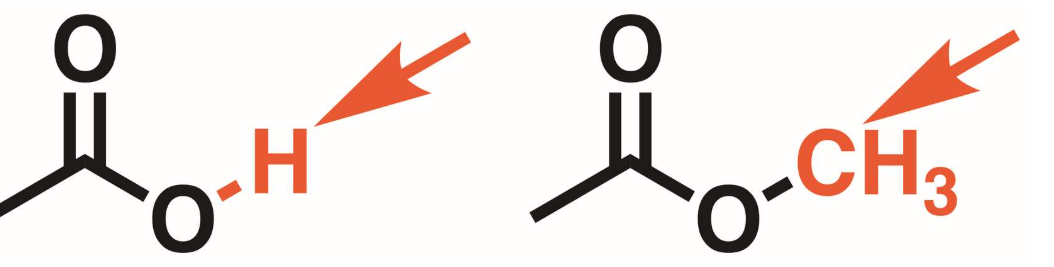 <p>Carboxylic acid has a hydrogen atom on the oxygen adjacent to the carbonyl. In that place on esters it is a carbon group. Arrows point to structural differences.</p>