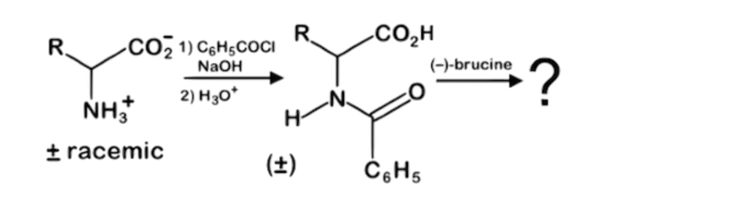 <p><span>While brucine is a naturally occurring alkaloid related to strychnine and hence poisonous, it can be used as a tool for stereospecific chemical syntheses. Which of the following statements best describes the result of this reaction series with a racemic mixture of an amino acid</span></p>