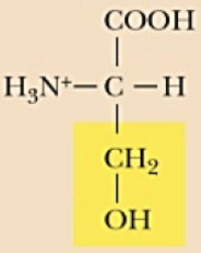 <p>Name (Abbr.) - polarity, a/n/b</p>