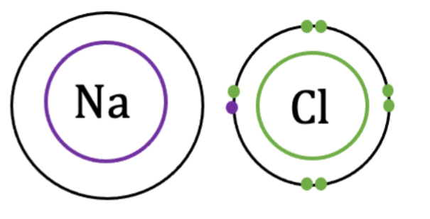 <ul><li><p>result of electrical attraction because of opposing charges. Involves transfer of electron(s) from one atom to the other.</p></li><li><p>E.g. holds macromolecules together (DNA &amp; protein): between positively charged nitrogen (protein) and negatively charged oxygen (DNA)</p></li></ul><p></p>