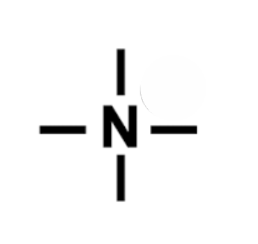 <p>Nitrogen - Four Bonds</p>