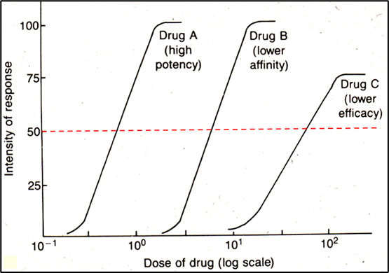 <ul><li><p><span><span>Drug affinity influences drug potency.</span></span></p></li><li><p><span><u><span>Efficacy affects the height of the dose-response curve</span></u></span><span>. Low efficacy will result in a lower maximal response.</span></p></li></ul><p></p>