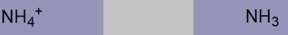 <p>Ammonium ion, Ammonia</p>