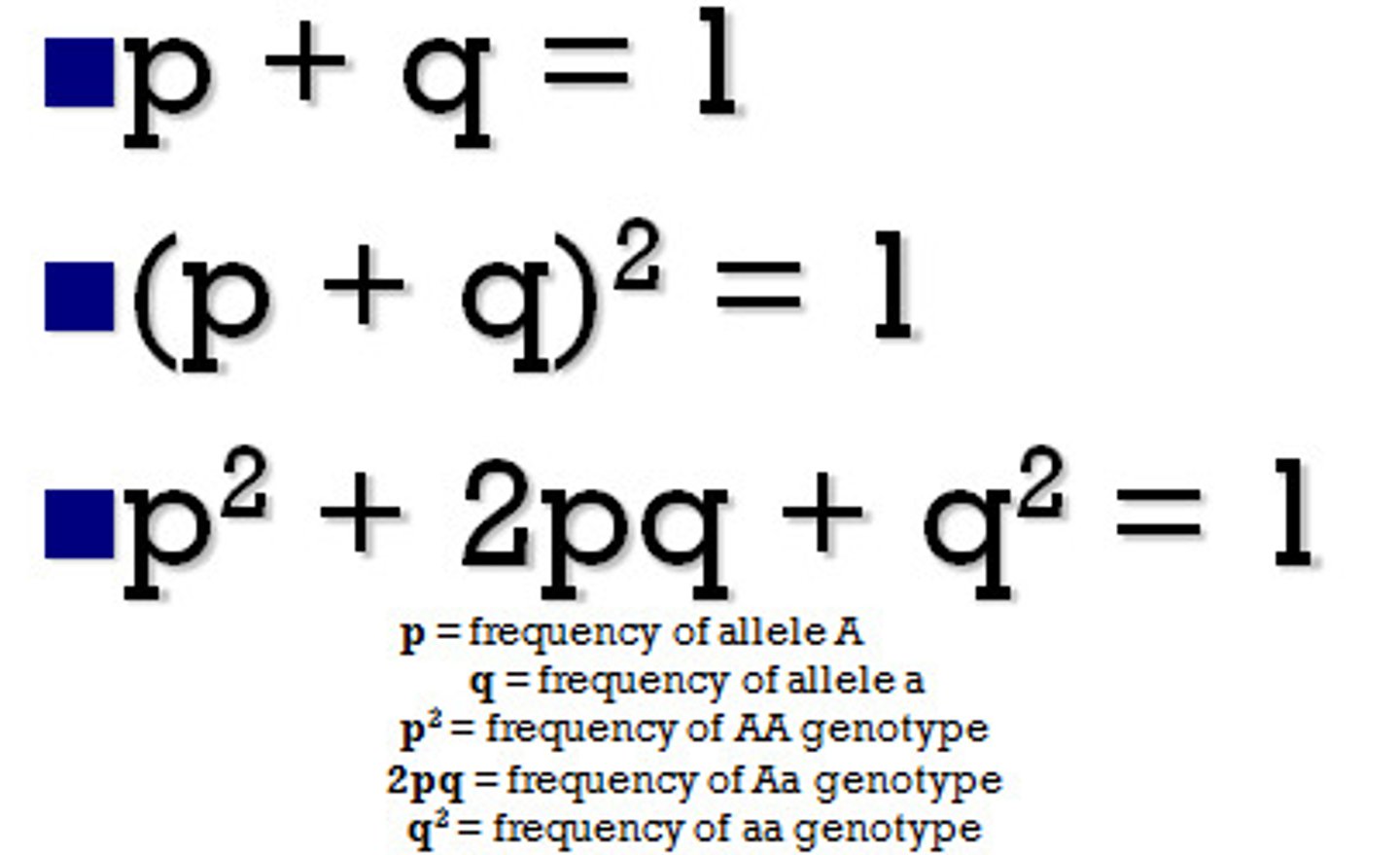 <p>p = frequency of dominant allele in a population (B)</p><p>q= frequency of recessive allele in a population (b)</p><p>p2 = frequency of dominant genotype (BB)</p><p>q2 = frequency of recessive phenotype (bb)</p><p>2pq = the frequency of the heterozygous genotype (Bb)</p>