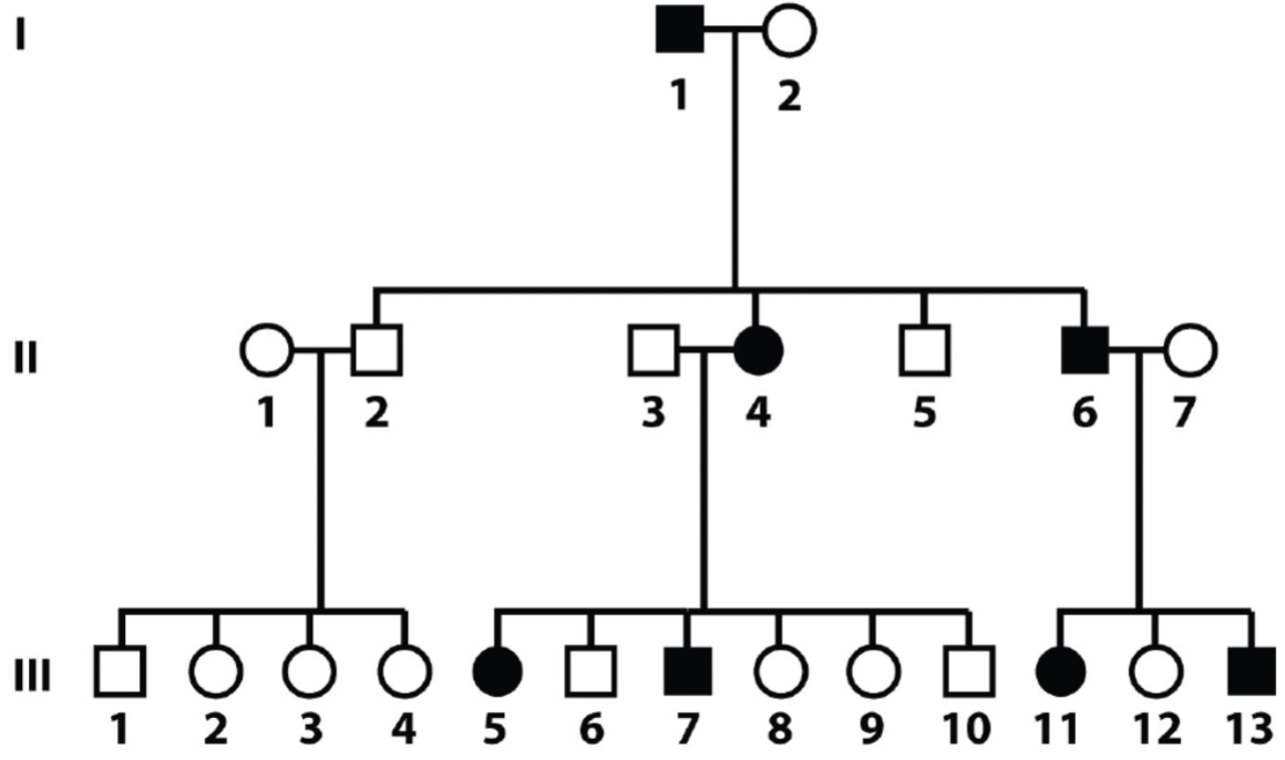 <p>Solving pedigrees: deducing mode of inheritance and associated genotypes question 2 (lec 4)</p>