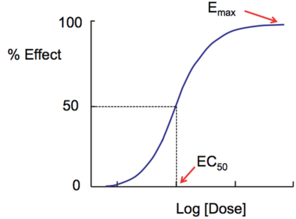 <p>linear segment starts low, increases then levels off as it approaches max value (sigmoidal relationship) between dose &amp; effect</p><p>- w/in limits increasing dose=increase desired effect</p>