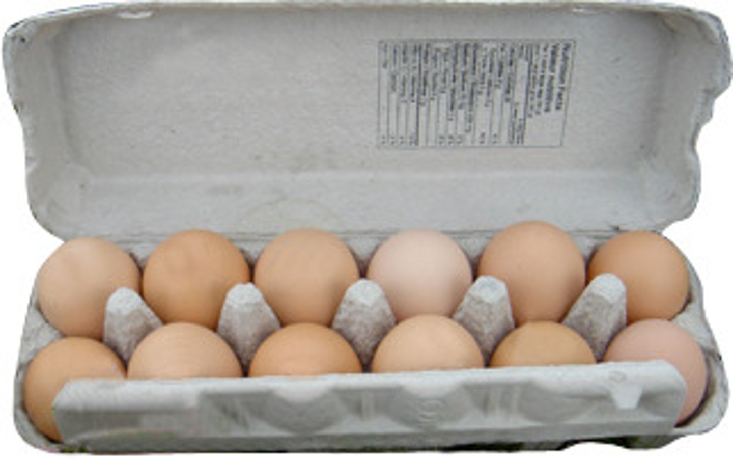 <p>a dozen</p>