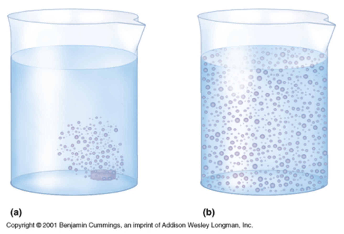 <p>The movement of substances across a cell membrane without the use of energy by the cell</p><p>- No Energy is required.</p><p>- Substances move from high concentration to low concentration</p><p>- Analogy: Allowing a ball to roll down a hill</p>