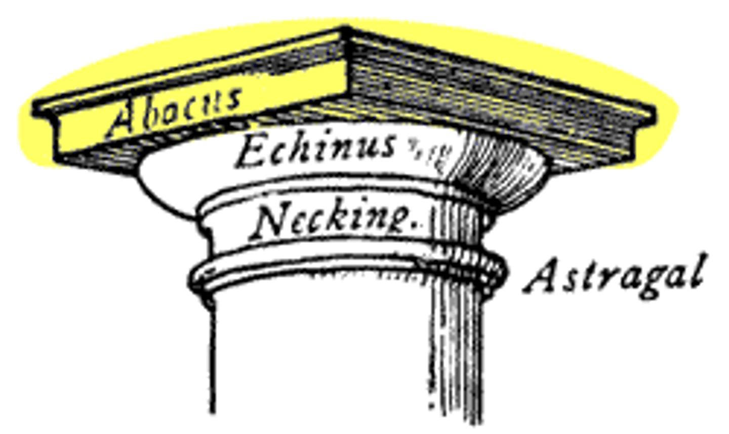 <p>The topmost member of the capital of a column.</p>
