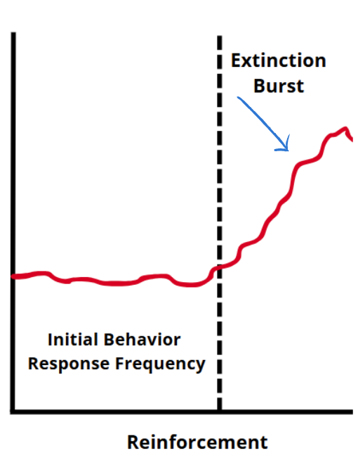 <p><span style="line-height: 0;"><span>Behaviors put on extinction could initially increase in topography, duration, and force before decreasing.</span></span></p><ul><li><p><span style="line-height: 0;"><span>When encountering an extinction burst, the extinction procedure must be maintained or the threshold will just be increased.</span></span></p></li></ul><p></p>