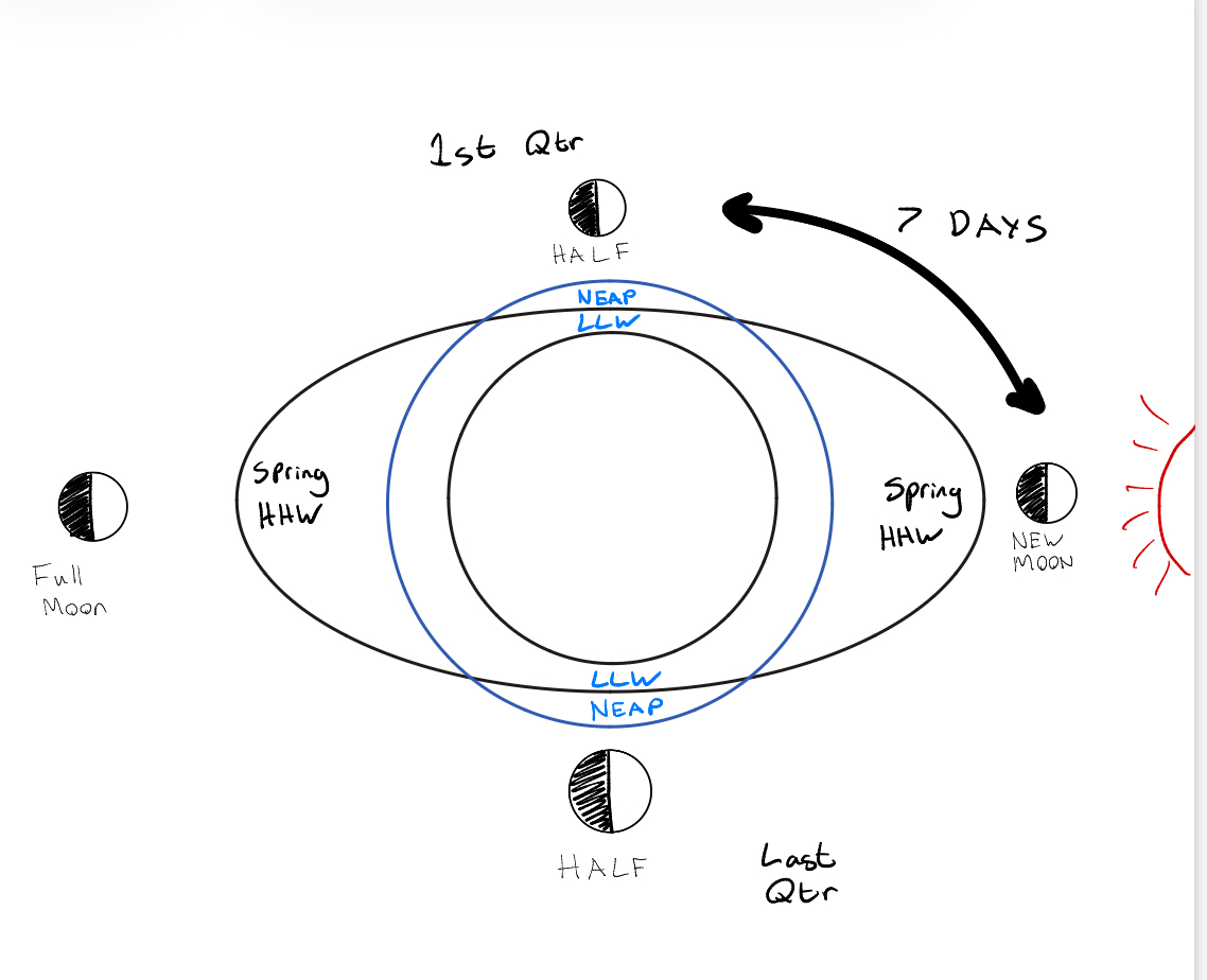 <p>High High waters</p><p>Low Low waters </p><p>During new moon and full moon </p>