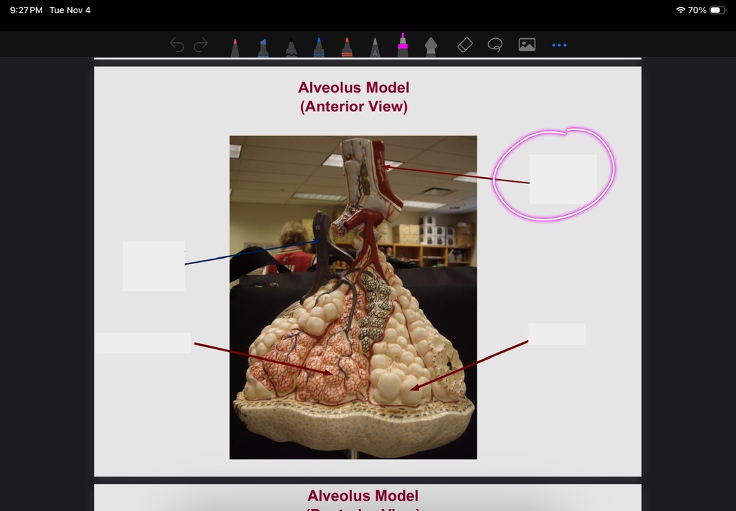 <p>What is this?</p>