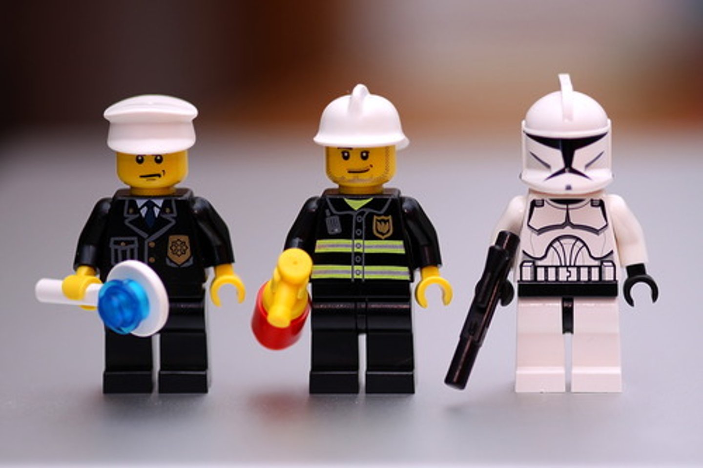 <p>public service personnel</p>