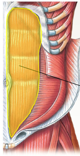 <p>What is highlighed</p>