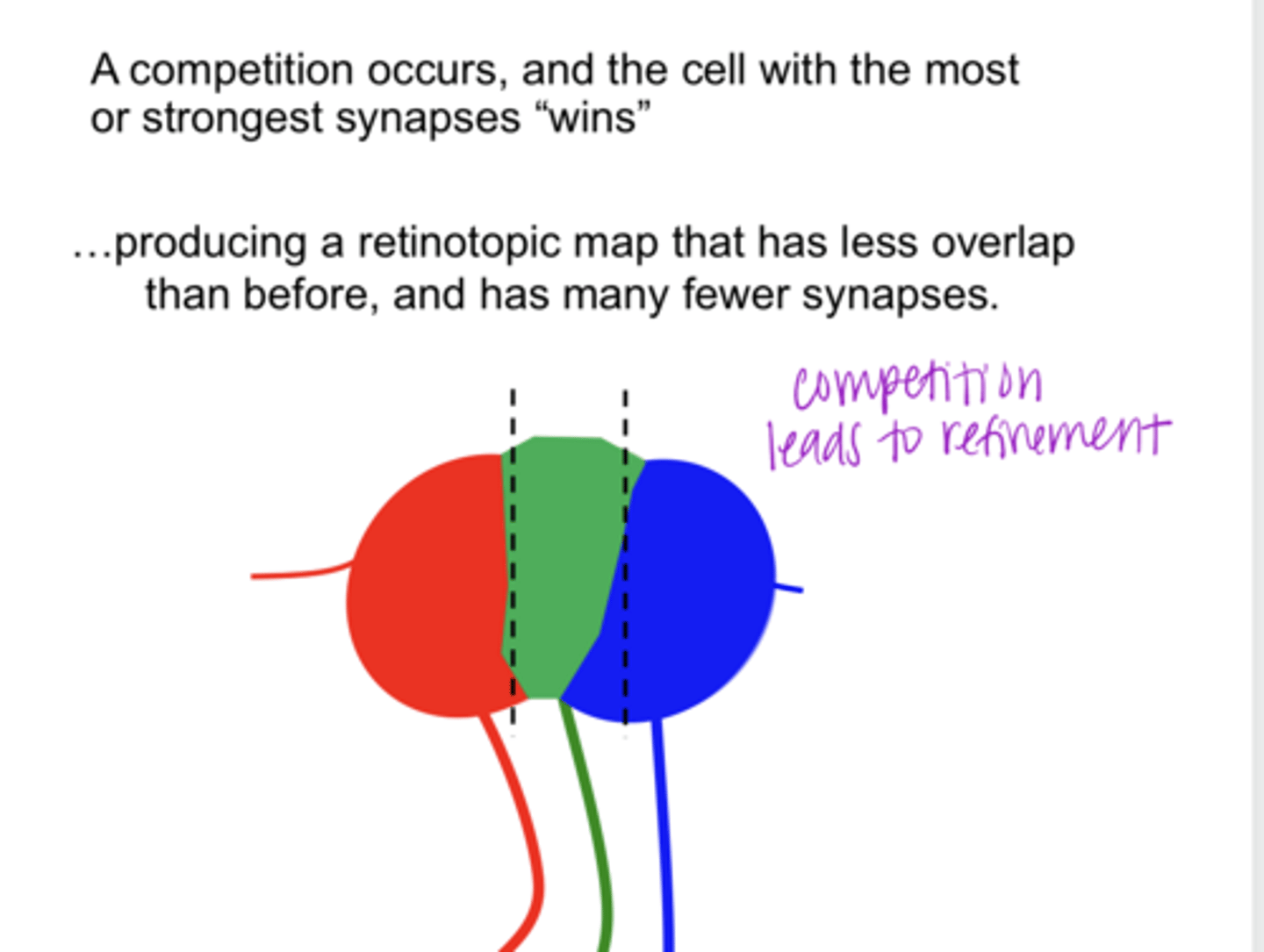 <p>competition leads to ______</p>