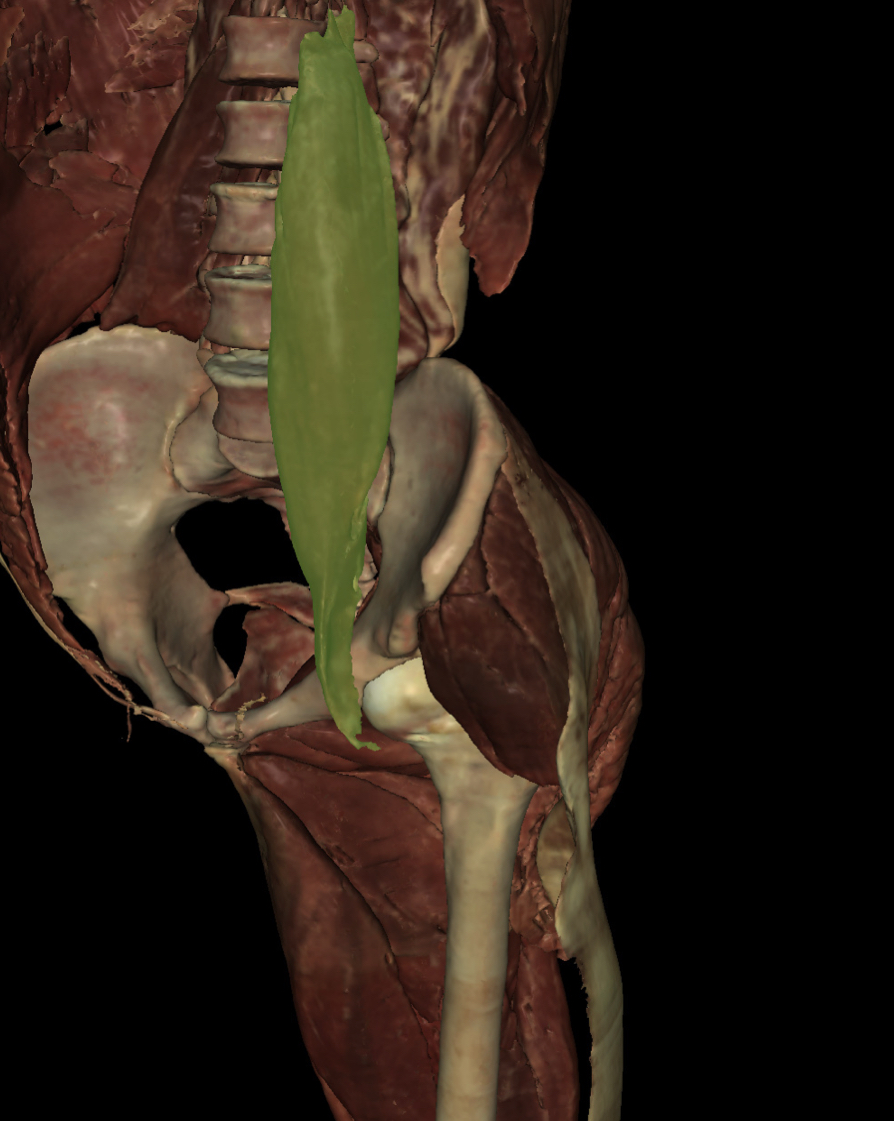 <p>Identify the Structure</p>