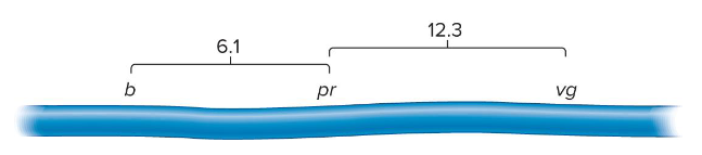<p>What are the steps for conducting a three-factor test cross?</p>