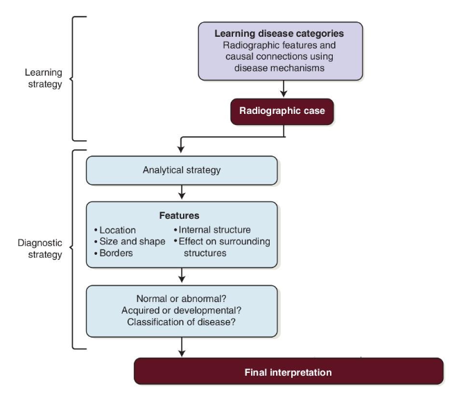 <p>How can analytical and non-analytical strategies be complementary?</p>