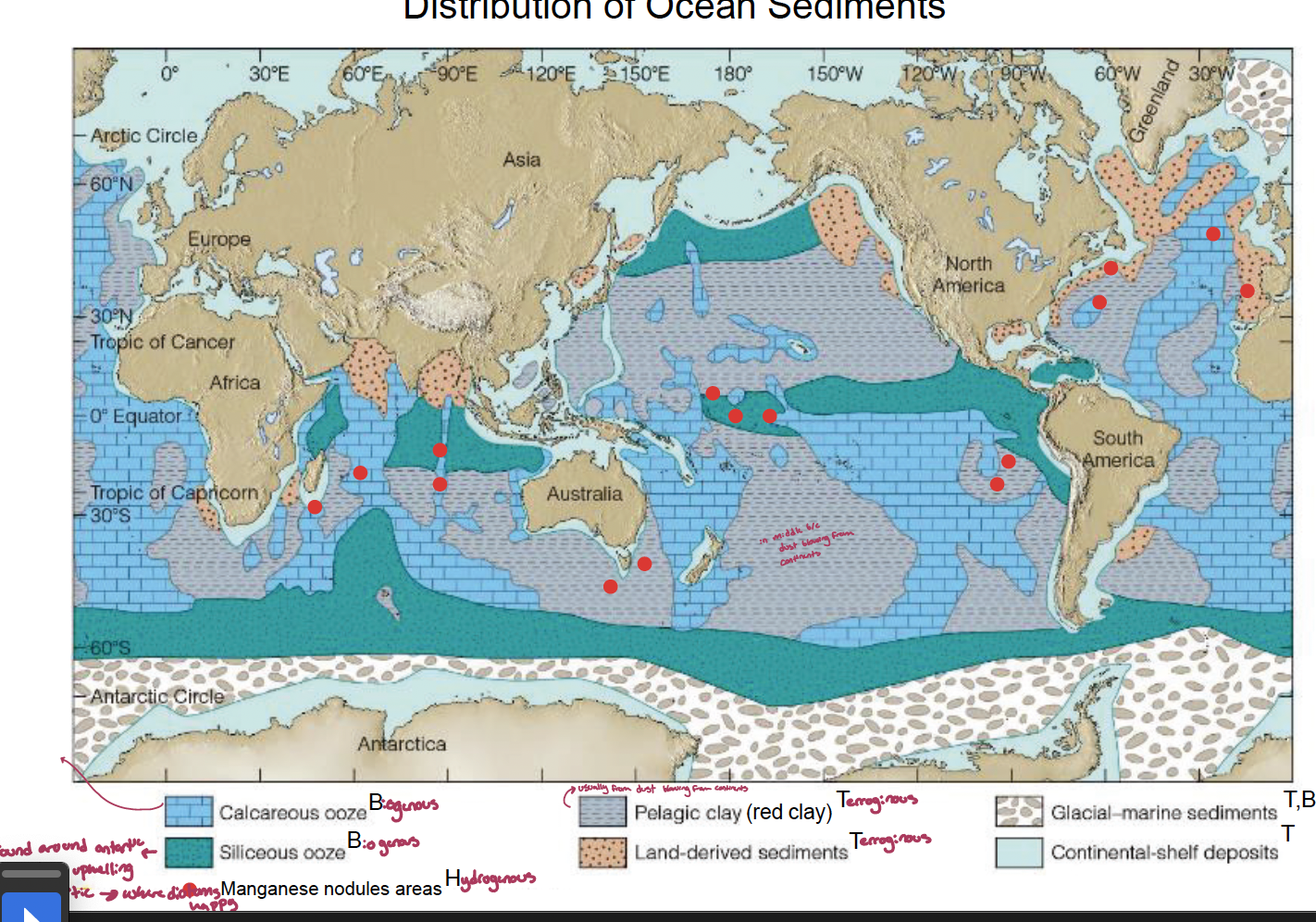 <ol><li><p>lithogenous (terrigenous): form from eroded rock, volcanoes, and airborne dust. mainly settle in neritic areas and some pelagic areas of low productivity</p><ul><li><p>ie.coarse beach and shelf deposits, turbidites, red clay.</p></li><li><p>Yukon delta, AK</p></li></ul></li><li><p>biogenous: from living organisms (exoskeletons/cell walls). mainly settle in pelagic zones, regions of high surface productivity, areas of upwelling, some beaches, and shallow warm water. there are two types:</p><ol><li><p>siliceous: silicate (diatoms and radiolarians) over 30% make up siliceous ooze</p></li><li><p>calcareous: calcium carbonate (coccolithophore, foraminifera (protozoa ameobas that live in cells), and pteropod (zooplankton with a shell inside the body, swimming snails/angels))</p></li></ol></li><li><p>hydrogenous: came out of solutions, chemical precipitation from sea water. mainly found at mid-ocean ridges, areas starved of other sediment types, can be neritic or pelagic</p><ul><li><p>metal sulfides, <strong>manganese nodules</strong>, phosphates, come carbonates</p></li></ul></li><li><p>cosmogenous: sediments from outer space. found everywhere but in very low concentrations.</p><ul><li><p>meteorites, space dust, tektite-like glass?</p></li></ul></li></ol><p></p>