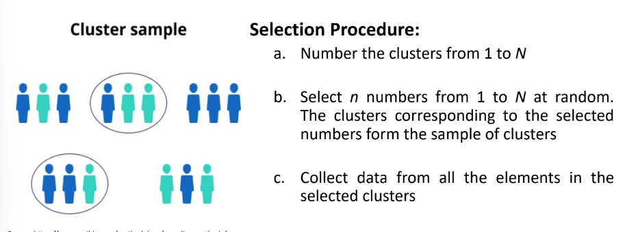 <p>Cluster Sampling</p>