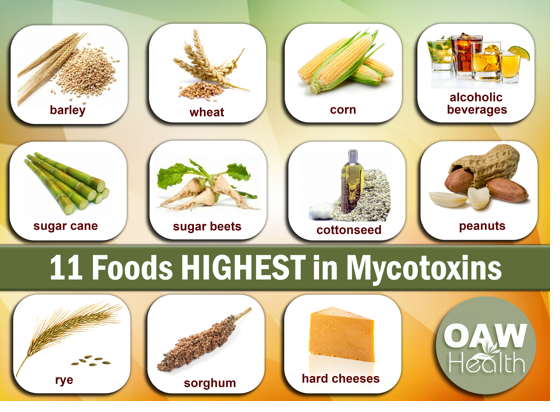 <p>Mainly by <strong>eating contaminated food</strong> (e.g., grains, peanuts). </p><p>Other routes include <strong>inhaling spores or particles</strong> and <strong>skin exposure</strong>, but <strong>not through direct contact with others</strong>.</p>