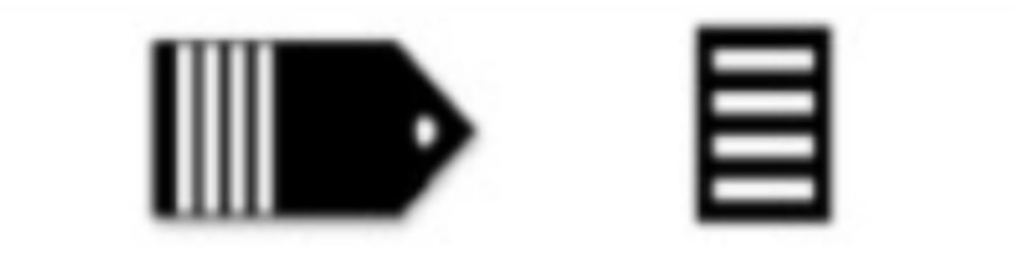 <p>What is this Cadet Rank?</p>