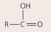 Acts as an acid, releasing H+ to become R—COO-; ex: fatty acids, amino acids 