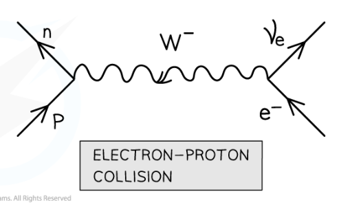 <p>when an electron collides with a proton, a neutron and an electron neutrino are emitted. Mediated by the W- boson.</p><p>p + e<sup>-</sup> —&gt; n + v<sub>e</sub></p>