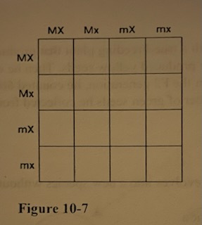 What fraction of this cross will be recessive for both traits?