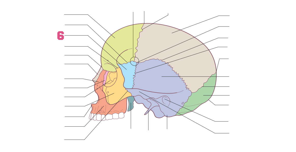 <p>06</p>