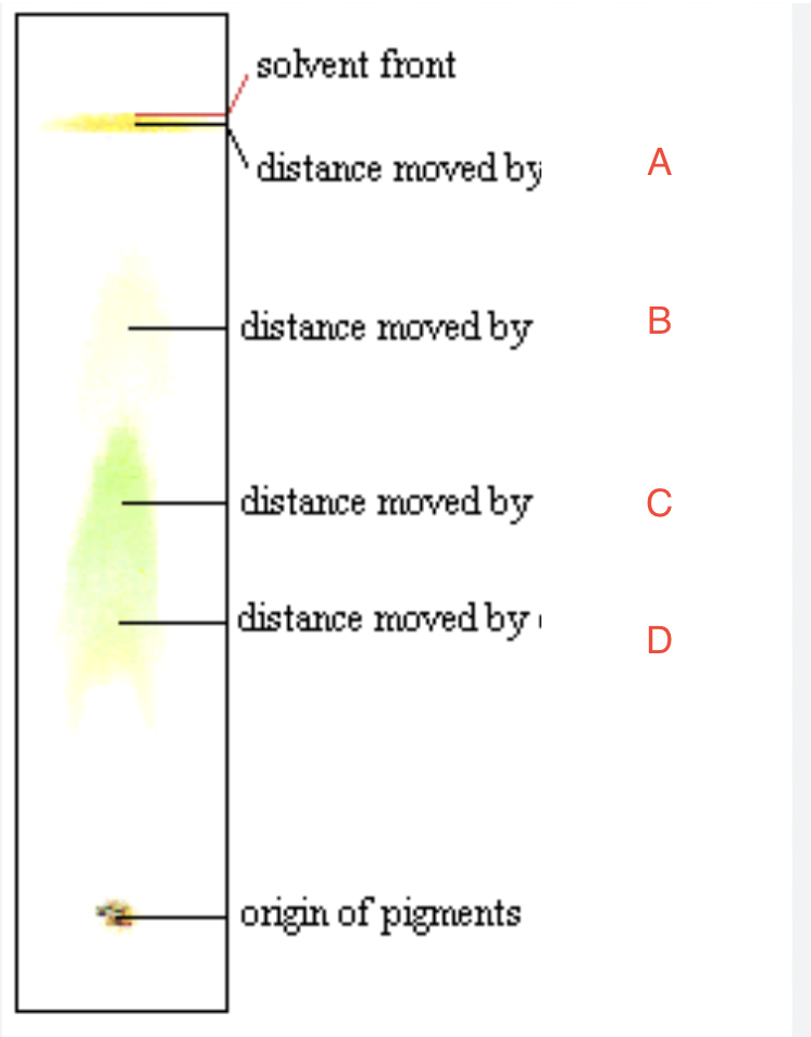 <p><span>Identify A, B, C, and D</span></p>