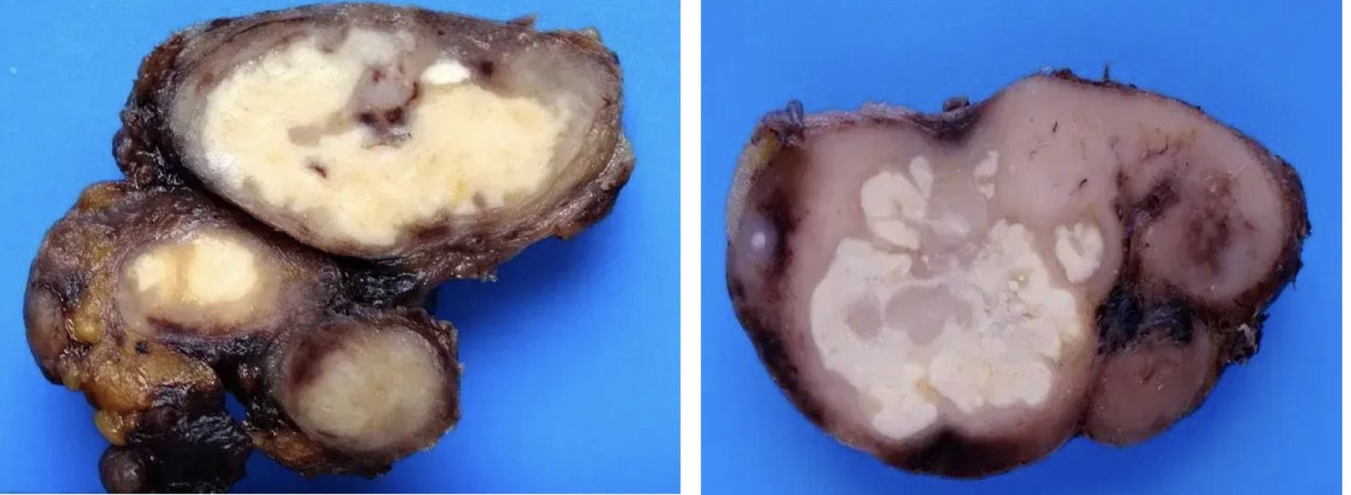 <p>A- identify</p><p>B- describe</p>