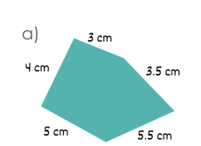 <p>calculate the perimeter</p>