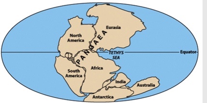 <p>In the diagram below, which two are the best examples of different continental positions in the past?</p>