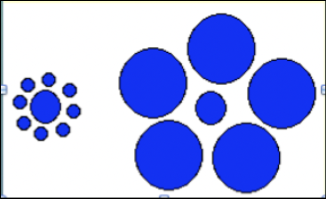 <p>mueller-lyer illusion</p>