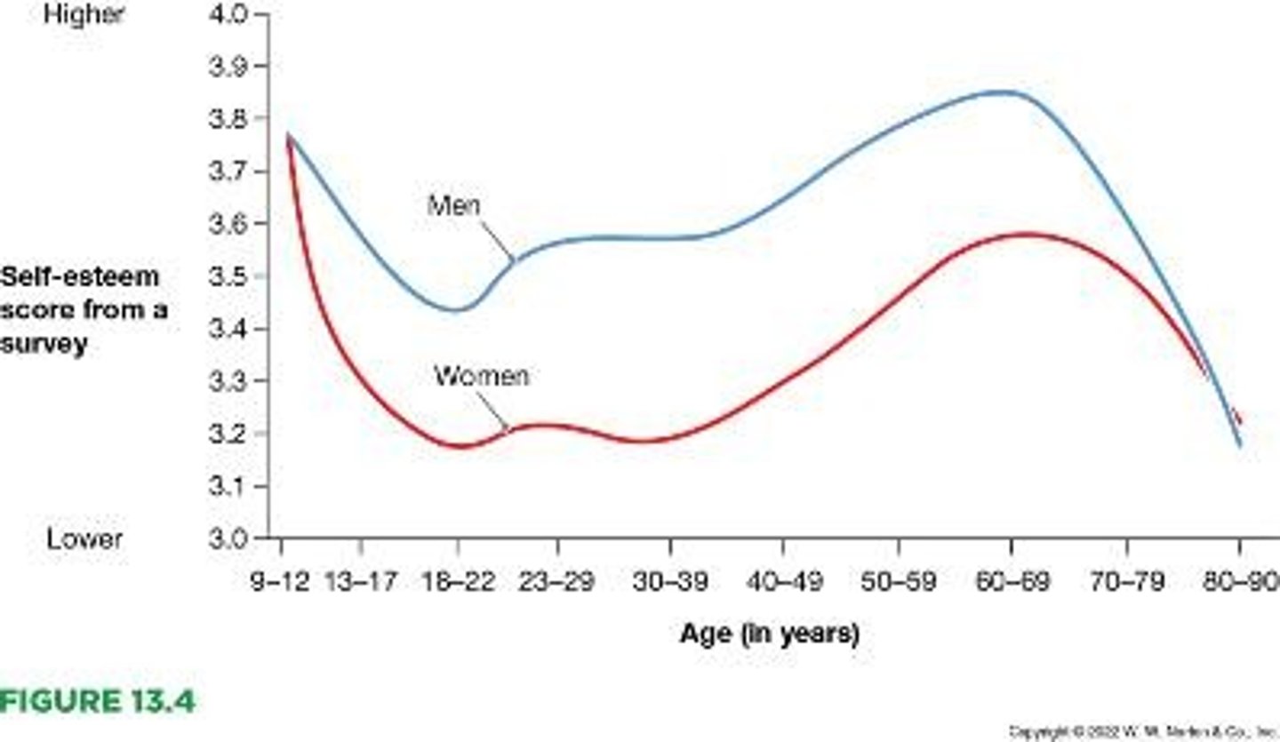 <p>The evaluative aspect of self-concept that indicates how you value or feel about your sense of self.</p>