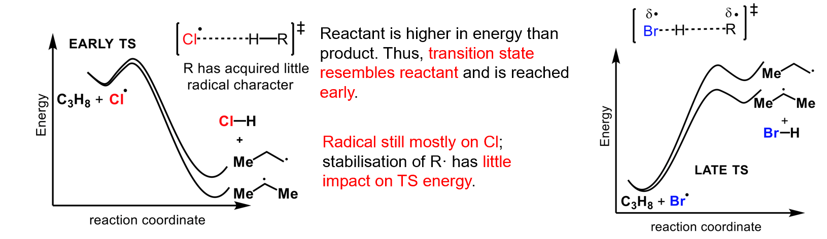 <p>The transition state of Cl is reached early so has more alkane character than radical character so the probability of attacking a particular hydrogen matters more.</p><p>In contrast, bromine has a transition state with more radical character so overwhelmingly favours the more substituted radical.</p>