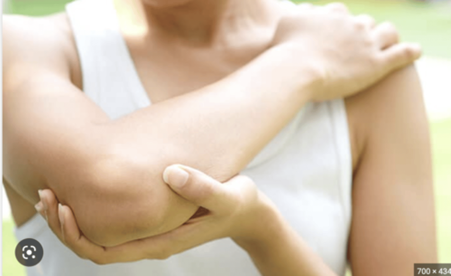 <p>Elbow</p>