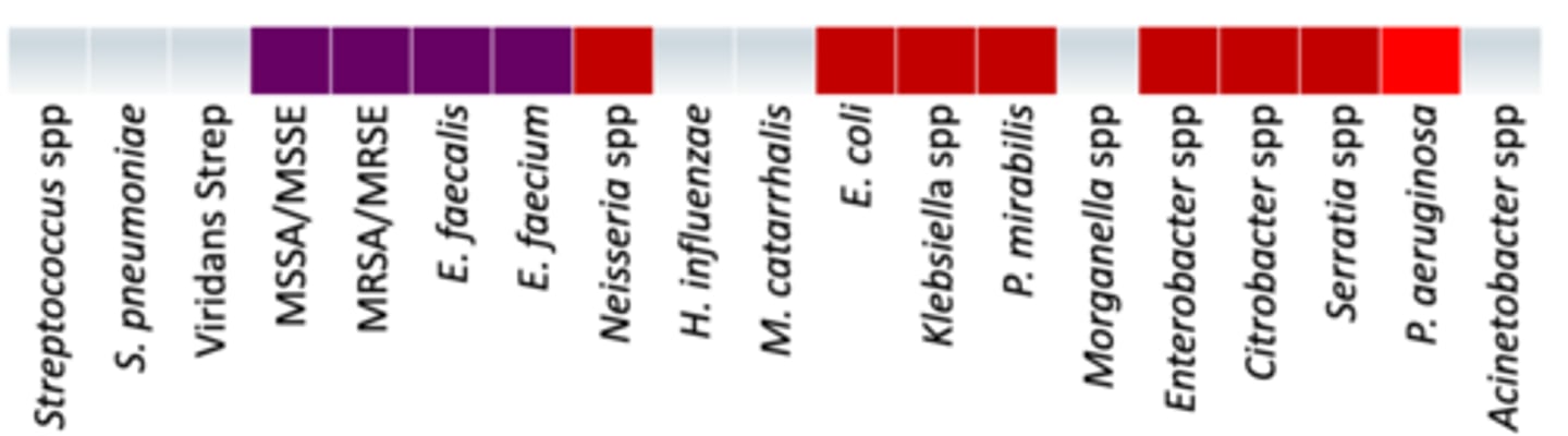 <p>• Anaerobes: - </p><p>• Miscellaneous: </p><p>- Active against: Salmonella; Shigella, Listeria, Aerococcus, H. pylori (almost same as aminopenicillin)</p><p>- Inactive: Stenotrophomonas, Burkholderia, and S. saprophyticus</p><p>• Coverage - </p><p>Covers the 3 groups of 3 for E. Coli and Enterobacter + what Nitrofuratoin covers</p>