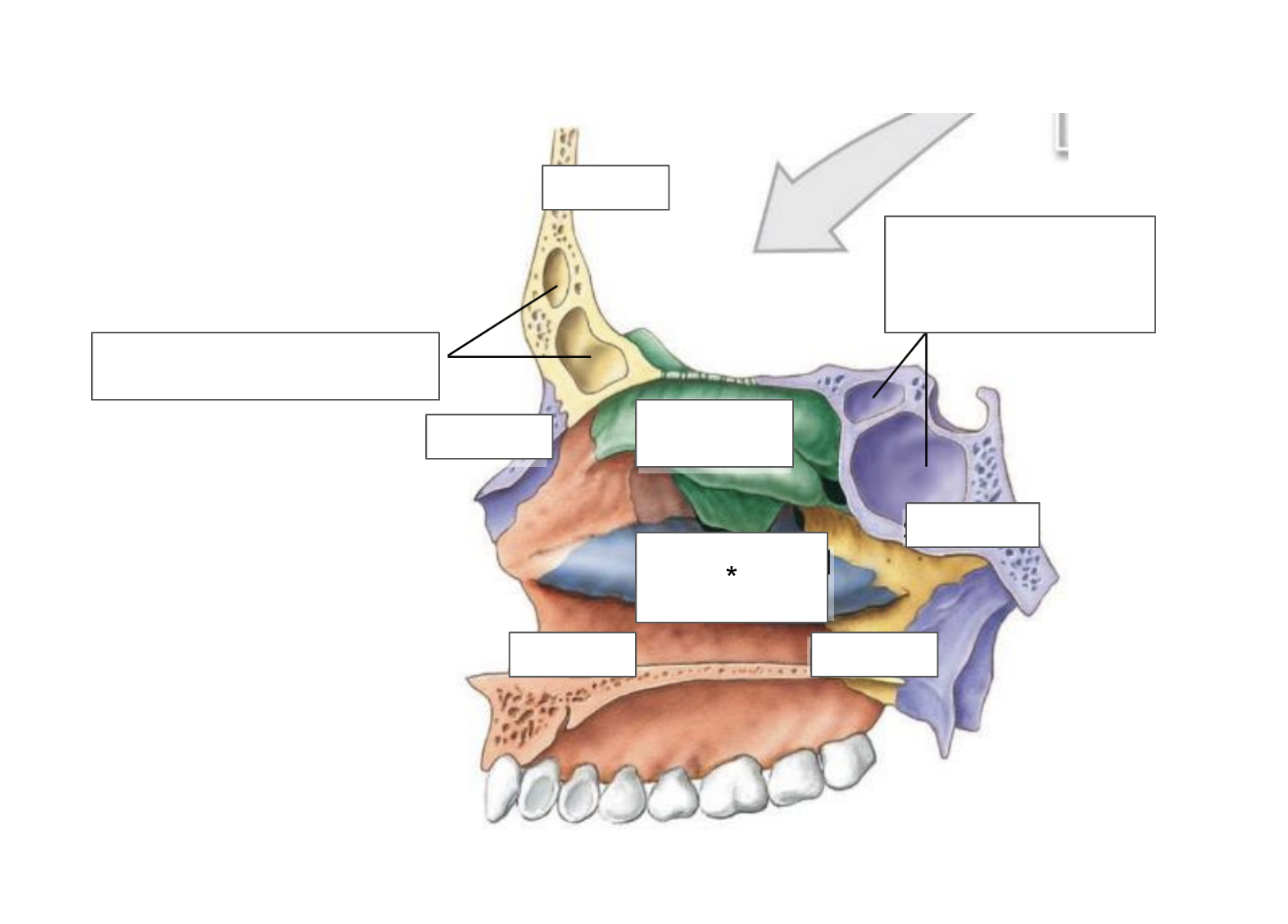term image