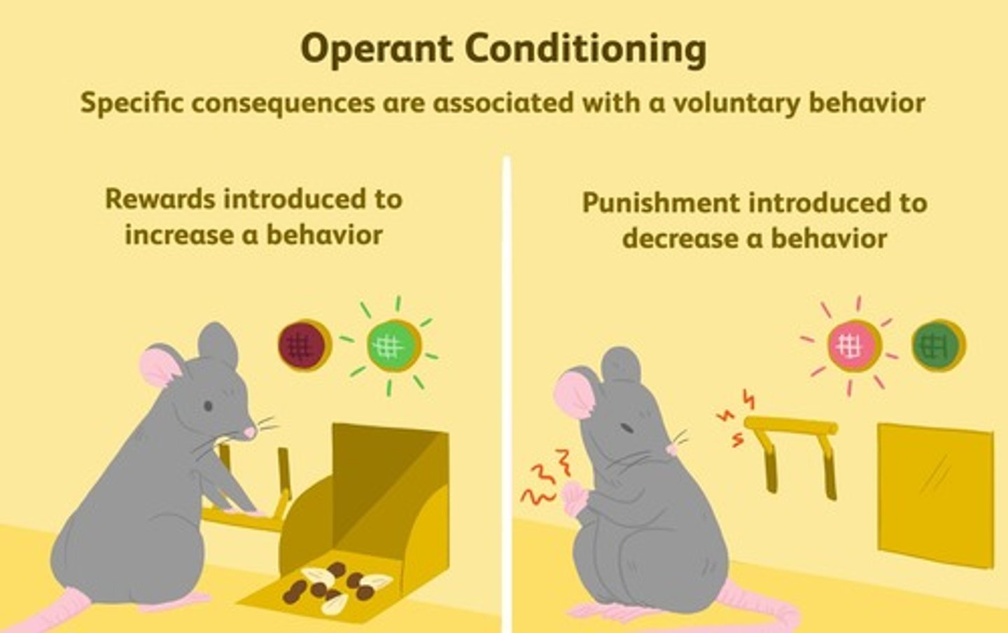 <p>Removing aversive stimulus increases future behavior.</p>