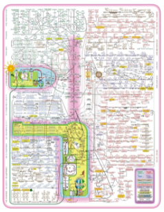 <p>What does this picture show?</p>